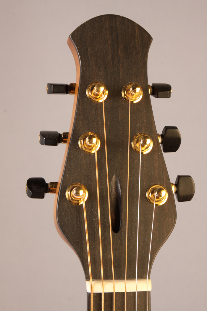 AR4377 Ithaca Stringed Instruments Custom archtop 2001