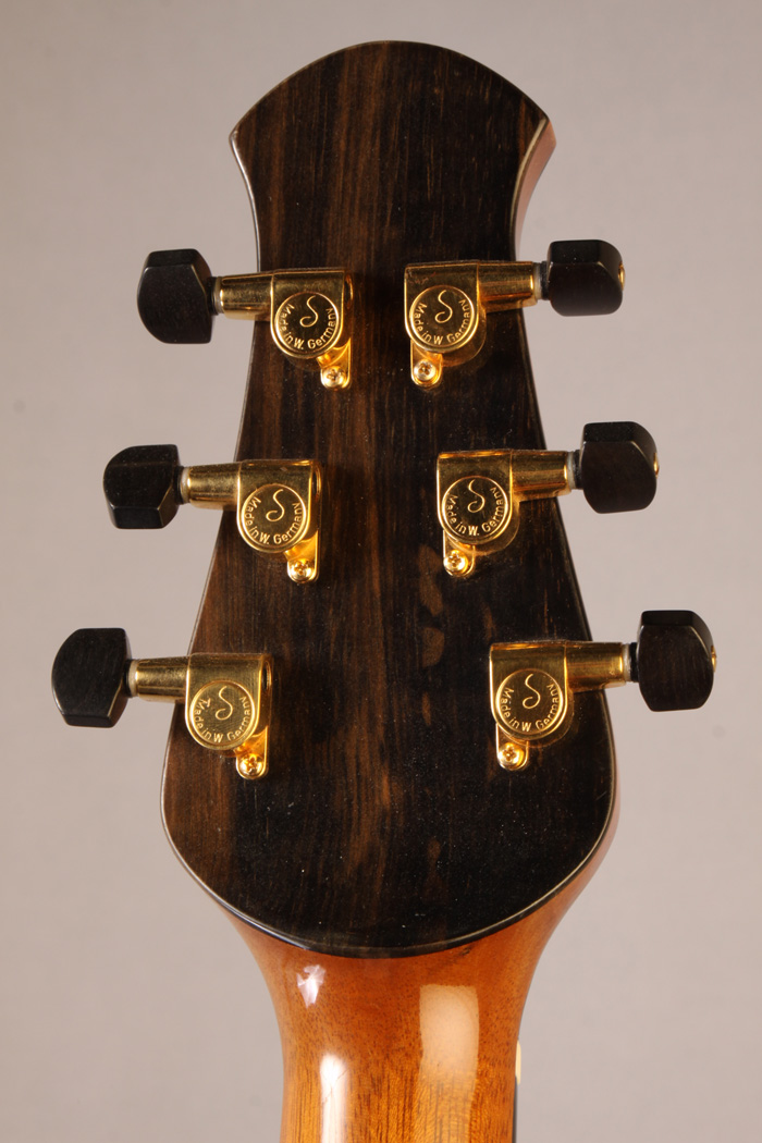 AR4377 Ithaca Stringed Instruments Custom archtop 2001