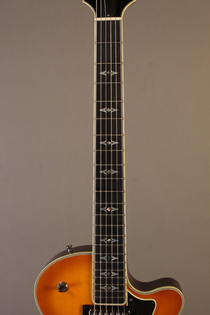 EX1251 Gruhn Electric Hollowbody 2009