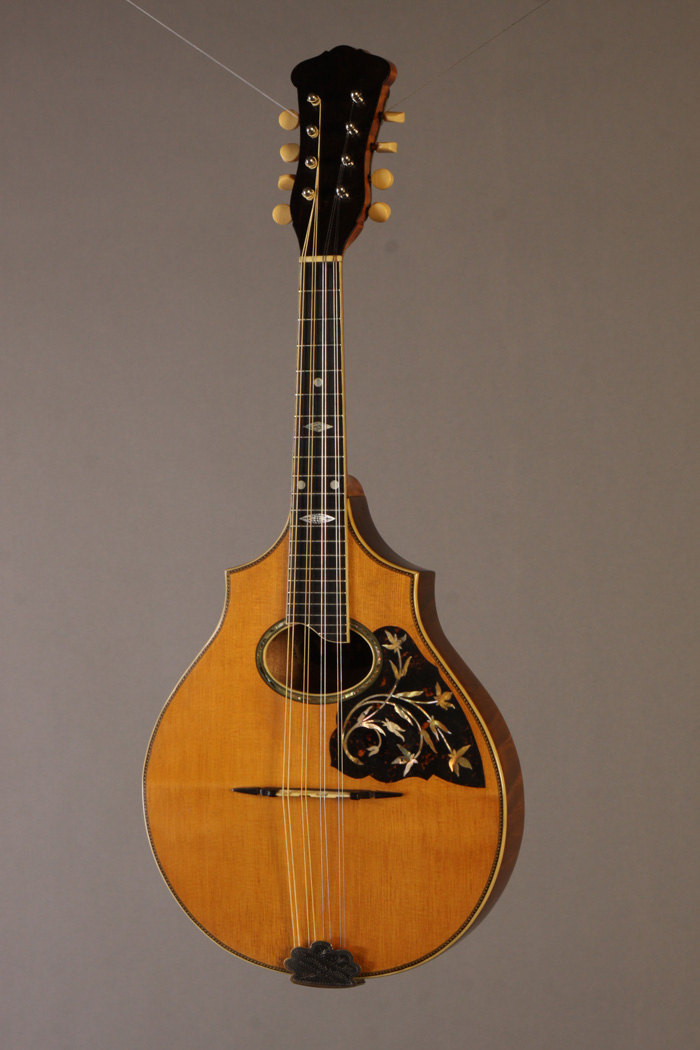 MF8369 Vega mandolin c. 1919