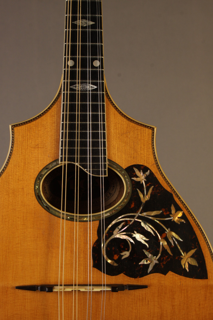 MF8369 Vega mandolin c. 1919