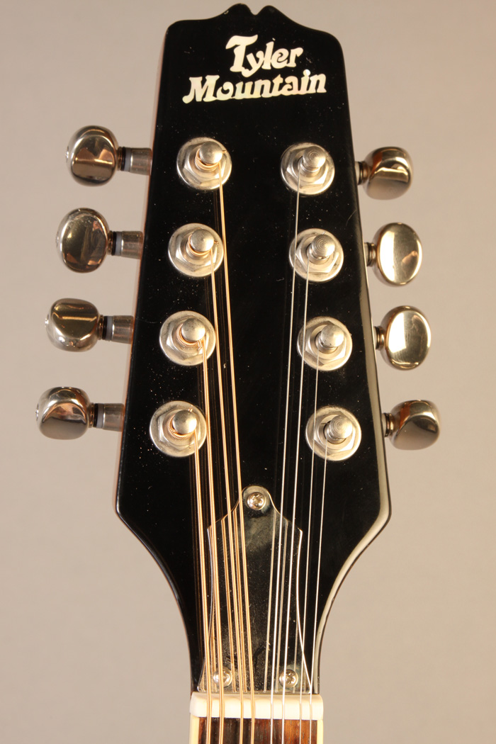 MF8437 Tyler Mountain Resonator Bouzouki / Octave Mandolin recent