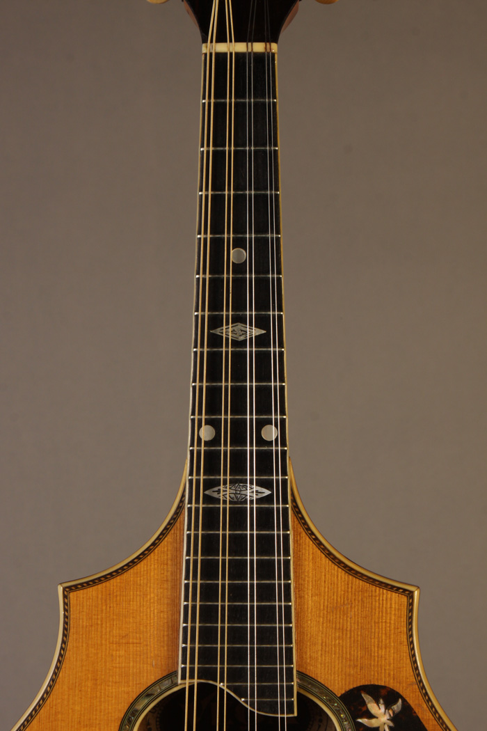 MF8369 Vega mandolin c. 1919